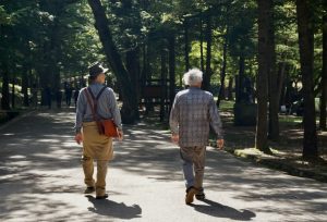 Walking speed and dementia